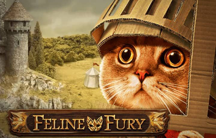 Обзор онлайн-слота Feline Fury